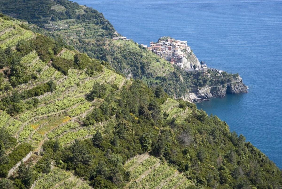 La Casa Fra Gli Ulivi Luxury Apartments With Pool Near Cinque Terre And Tuscany Монте-Марчелло Экстерьер фото