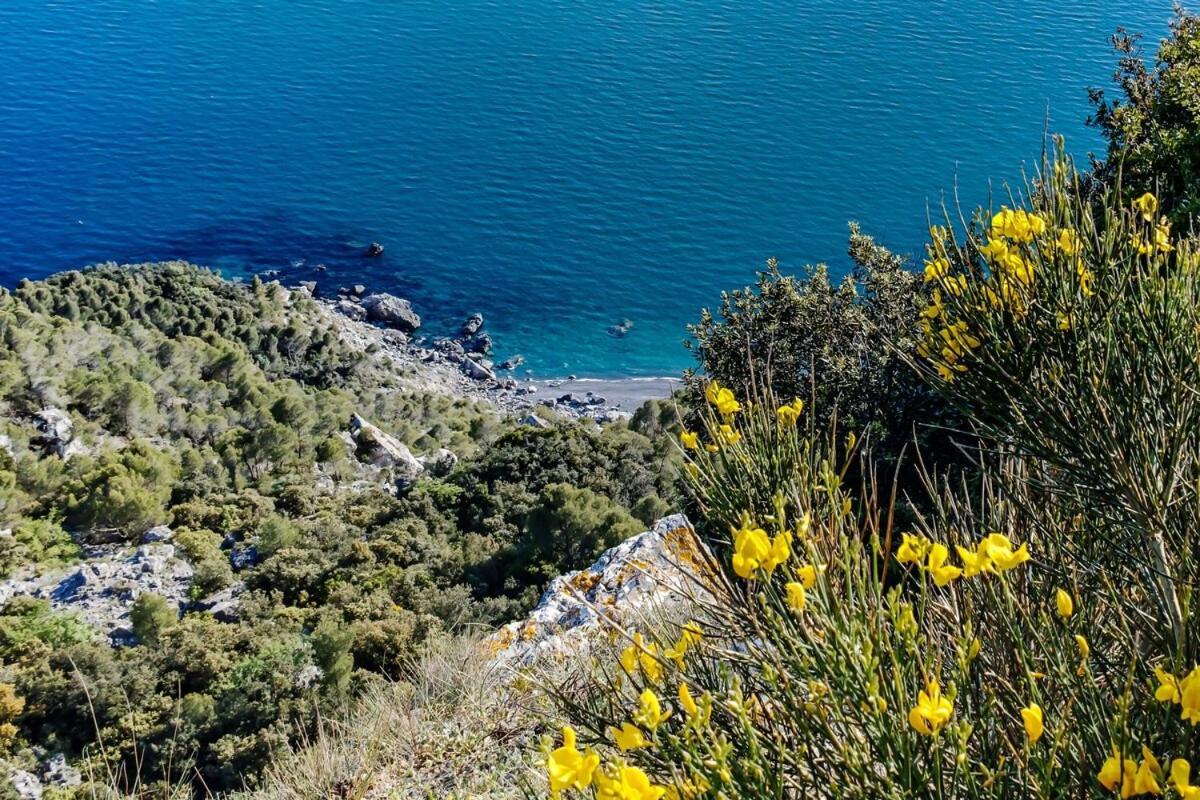 La Casa Fra Gli Ulivi Luxury Apartments With Pool Near Cinque Terre And Tuscany Монте-Марчелло Экстерьер фото